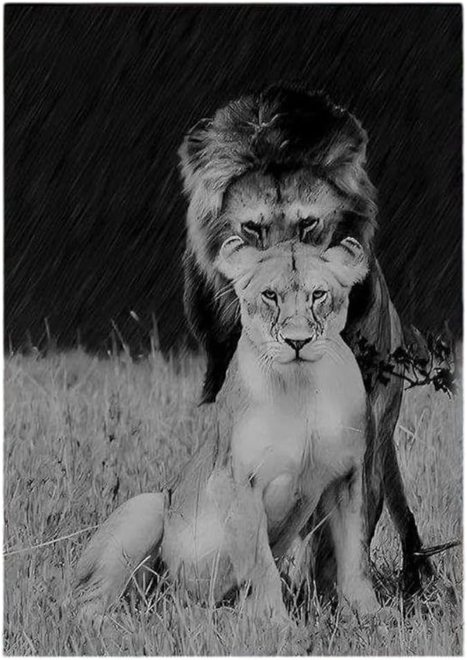 Lion Love Couple Canvas Wall Art