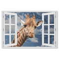 Curious Giraffe At Window Premium Canvas