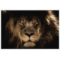 King Of The Jungle Premium Canvas Wall Art
