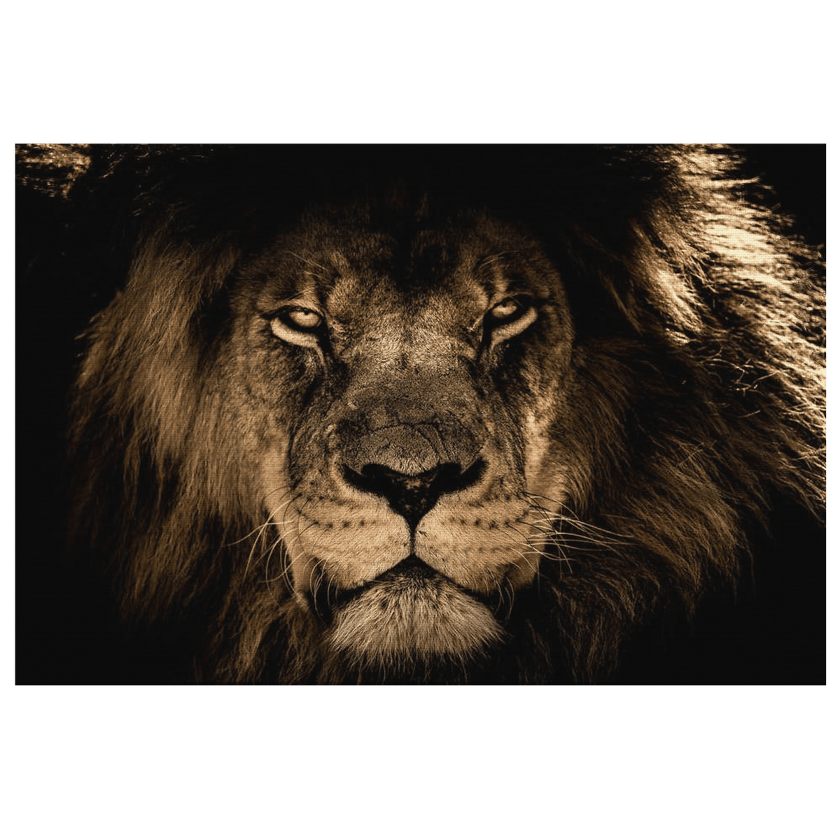 King Of The Jungle Premium Canvas Wall Art